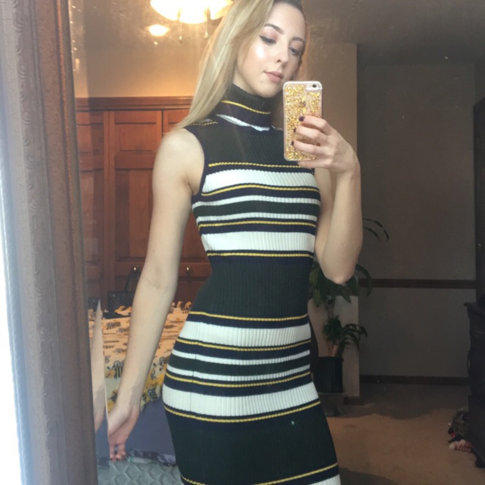 Striped Knit Turtleneck Bodycon Dress NWT